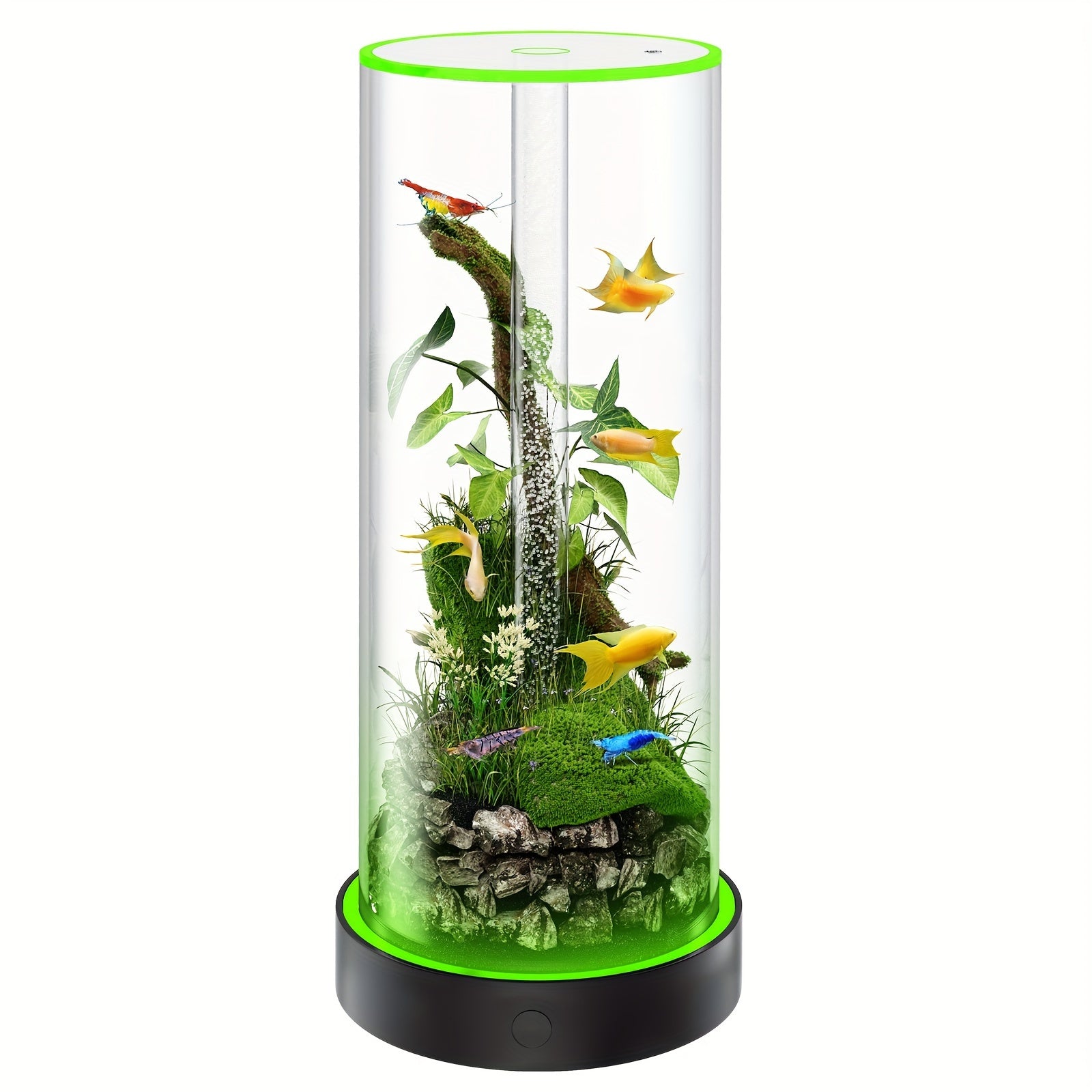 Small Fish Tank Starter Kits: Lemazy Betta Fish Tank Kit With Filter, 6 Colorful Led Light, Self Cleaning DIY Fish Aquarium Kit For Small Aquatic Pet