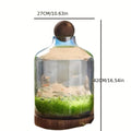 Japanese-style Ecological Bottle Desktop Micro-landscape Ecological Fish Tank Free Water Change Wealth Bottle Creative Glass Hydroponic Bottle
