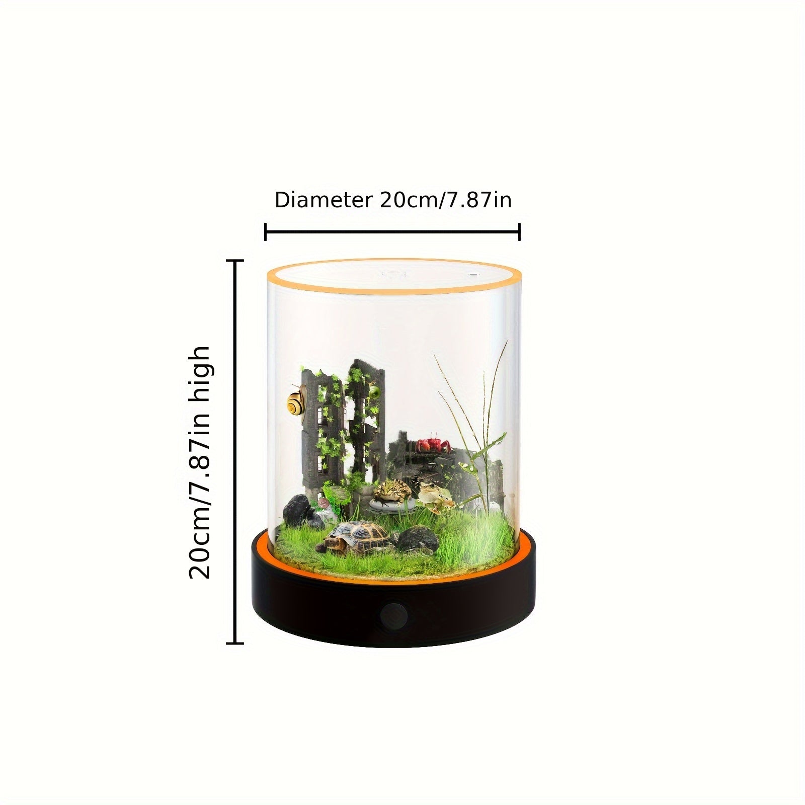 Small Fish Tank Starter Kits: Lemazy Betta Fish Tank Kit With Filter, 6 Colorful Led Light, Self Cleaning DIY Fish Aquarium Kit For Small Aquatic Pet