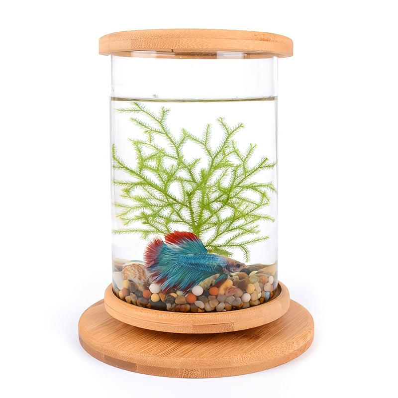 360° Rotating Desktop Zen Aquarium - Bamboo Base Glass Bowl for Marimo Moss Balls, Shrimp & Hydroponic Plants - Relaxing Office Decor & Unique Gift