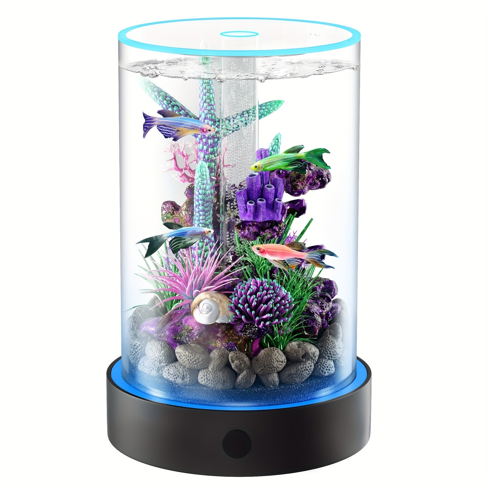 Small Fish Tank Starter Kits: Lemazy Betta Fish Tank Kit With Filter, 6 Colorful Led Light, Self Cleaning DIY Fish Aquarium Kit For Small Aquatic Pet