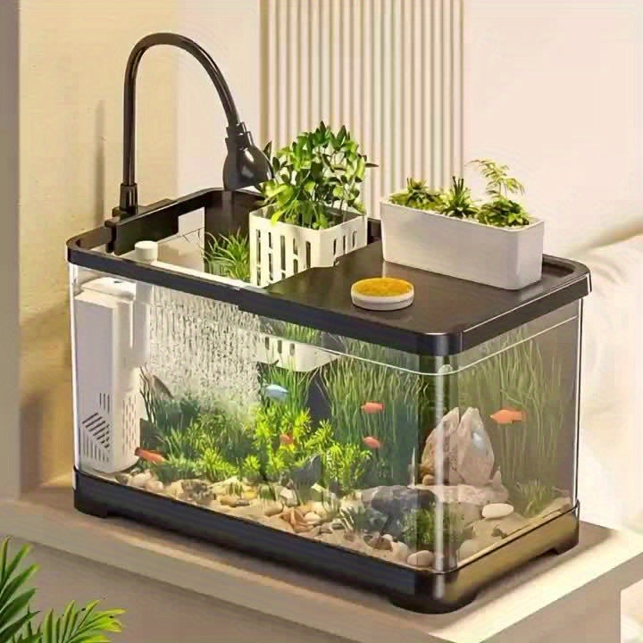 Acrylic Fish Tank High Quality Transparent Acrylic Square Fish Tank with Black Frame | Desktop Aquarium for Goldfish, Shrimp, Sea Turtles, Crabs, Frogs and Algae - Perfect for Living Room Decoration