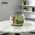 Round Small to Medium Fish Tank Suitable for Home Aquariums, Thickened Plastic Glass-Front Aquarium with Transparent Lid Compatible for Goldfish,, Fish Bowls, - Assembly for Fish Tank for Living Room Decor
