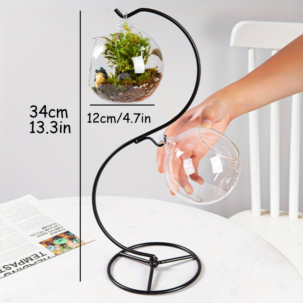 Two Small Glass Hanging Fish Tank With Creative Stand, Mini Tabletop Aquarium